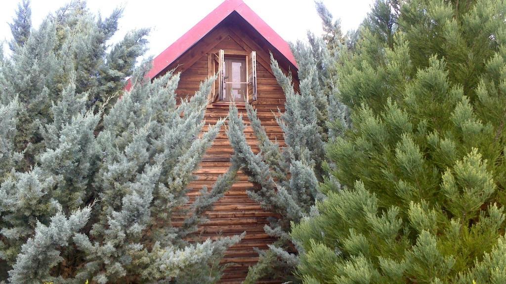 El Muerdago De Canada ξενώνας Cañada del Hoyo Εξωτερικό φωτογραφία
