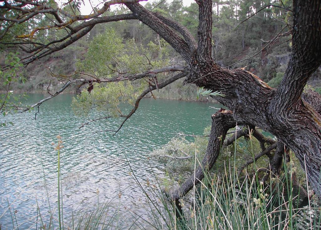 El Muerdago De Canada ξενώνας Cañada del Hoyo Εξωτερικό φωτογραφία